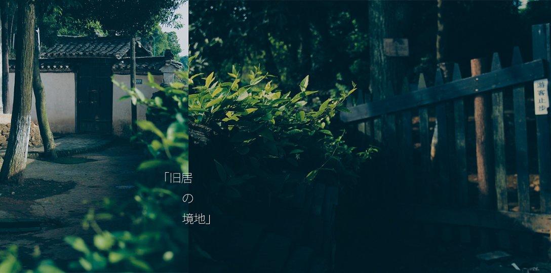 增长逾六成,但好未来又亏损了