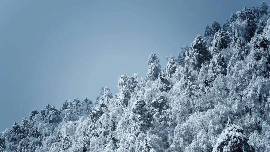 悬案：刹那惊颤